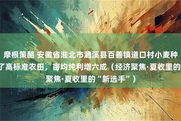 摩根策酪 安徽省淮北市濉溪县百善镇道口村小麦种植户—— 有了高标准农田，亩均纯利增六成（经济聚焦·夏收里的“新选手”）