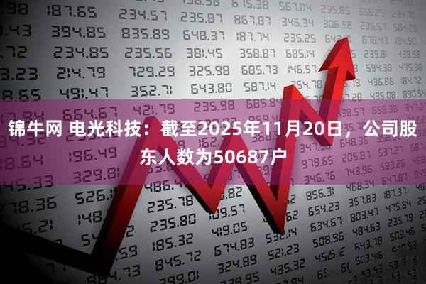 锦牛网 电光科技：截至2025年11月20日，公司股东人数为50687户