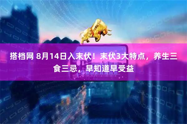 搭档网 8月14日入末伏！末伏3大特点，养生三食三忌，早知道早受益